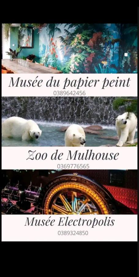 Sweet Home Mulhouse Esterno foto